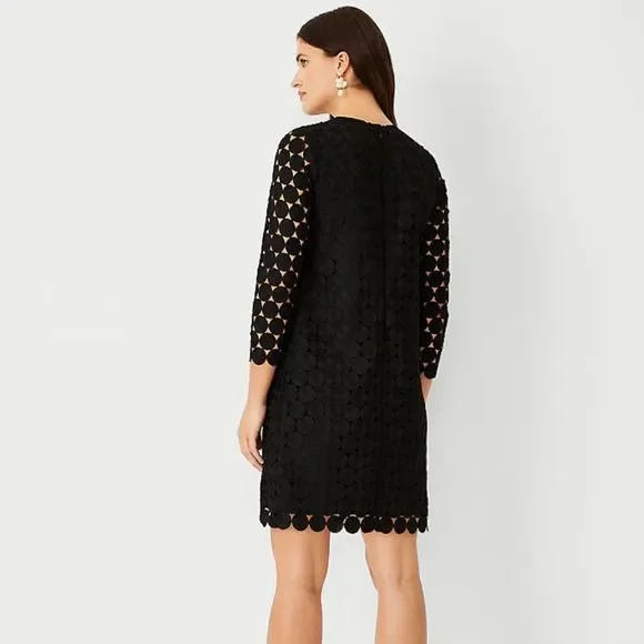 Ann Taylor 4P Black Dotted Lace Shift Dress - www.rajagirimanappuram.com